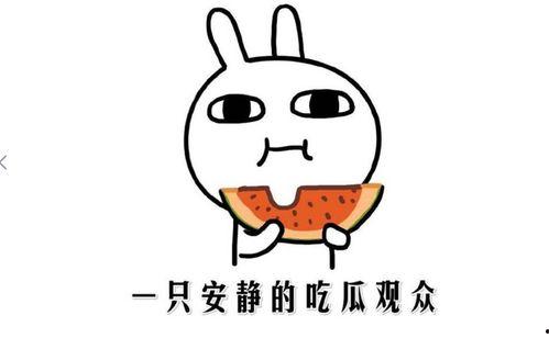 吃瓜事件什么意思,网络舆论场中的真相与误解